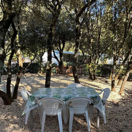 Mobil-home Sud Ardeche 6 Personnes Avec Clim *
